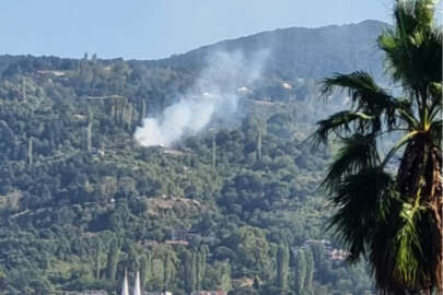 Bursa'da Uludağ'ın eteklerinde çıkan yangın söndürüldü