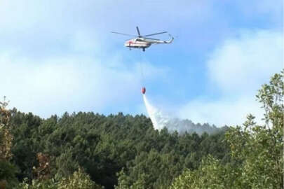 Aydos ormanında yangın! Havadan karadan müdahale