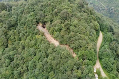 Define için ormanda yol açtılar