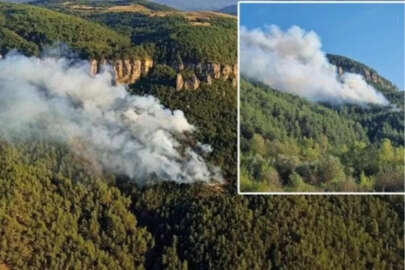 Orman yangını! Ekipler müdahale ediyor