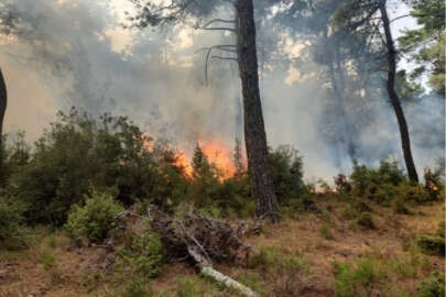 Çanakkale'de yıldırım düşmesi sonucu orman yangını çıktı!