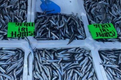 Hamsinin kilosu 80 liradan alıcı buldu