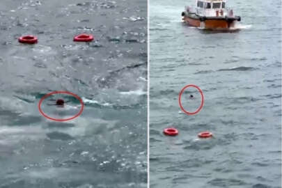İstanbul'da bir yolcu vapurdan denize düştü