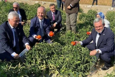 YÖK Başkanı'ndan üniversitelere övgü dolu sözler