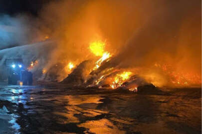 Konya'da orman yangını!