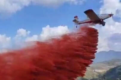 Adana'da orman yangını!