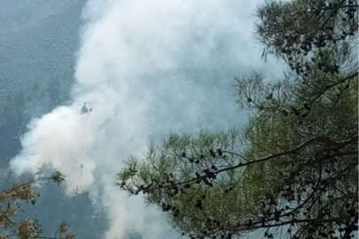 Adana'da orman yangınları kontrol altına alındı