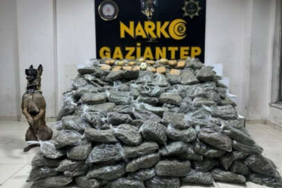 Gaziantep'te 170 kilogram skunk ele geçirildi