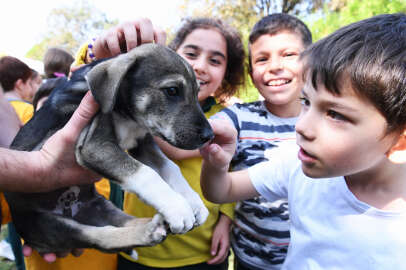 Osmangazi'de öğrenciler can dostlarla buluştu