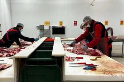 Et ve süt ürünlerine denetim sürüyor