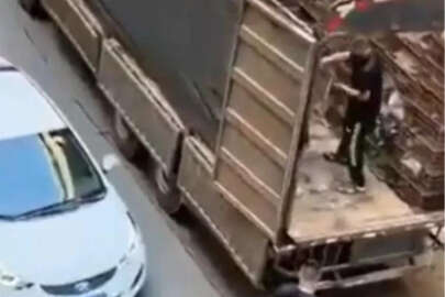 Kamyondan kafes kafes canlı köpek indirildi!