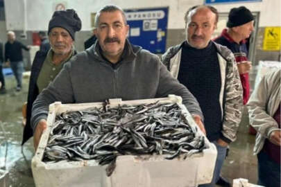 Balık mezadında kasalar dolusu hamsi kapış kapış satıldı