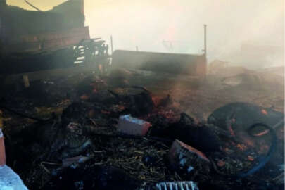 Bursa'da koyun ağılında yangın çıktı! 44 hayvan telef oldu