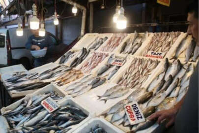 Balık fiyatları en alt seviyeye düştü