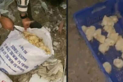 Ağzı bağlı çuvallarda 600 ölü civciv çıktı