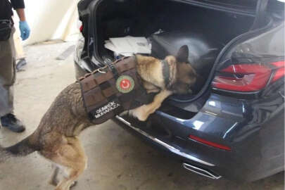 Diplomatik araçta 54 kilo 912 gram uyuşturucu ele geçirildi