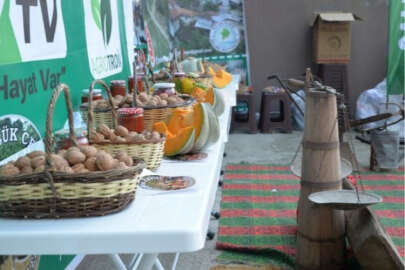 Bursa'da 'Ceviz Hasadı ve Yöresel Ürünler Festivali' düzenlendi