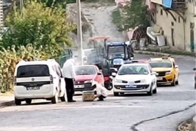 Devrilen kovandan çıkan arılar mahalleyi istila etti!