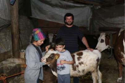 Gerçeği hayvanlarına şap aşısı yaptırırken öğrendi, şoke oldu
