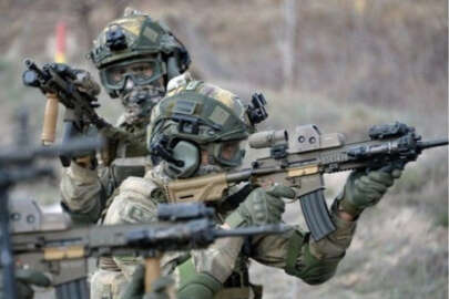 MSB: Gri kategoride aranan terörist etkisiz hale getirildi