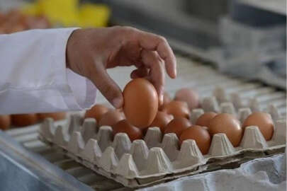 Yumurta fiyatlarındaki oyun ortaya çıktı!