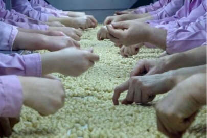 Fındık ihracatı geriledi