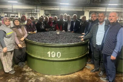 Marmarabirlik’ten ortaklarına 137 milyon liralık ödeme