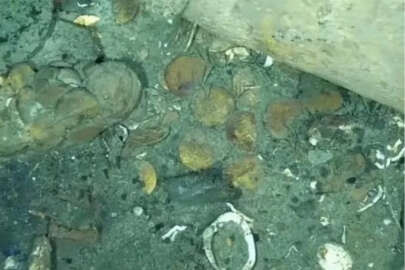 Okyanusun dibindeki 570 milyar TL'lik hazin!