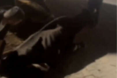 İneğe içki içirip, kayda alan 4 şüpheliye para cezası