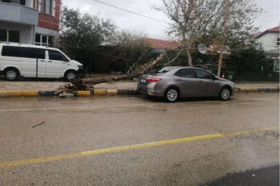 Şiddetli rüzgar nedeniyle otomobilin üzerine ağaç devrildi