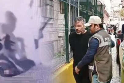 Fatih Camii çevresinde kedi ölümleriyle ilgili gözaltı