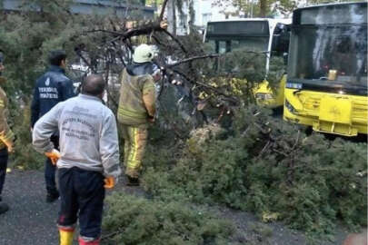 Korku dolu anlar! Altında kalmaktan son anda kurtuldu