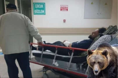 Hayvanlarını otlatırken ayı saldırısına uğradı!