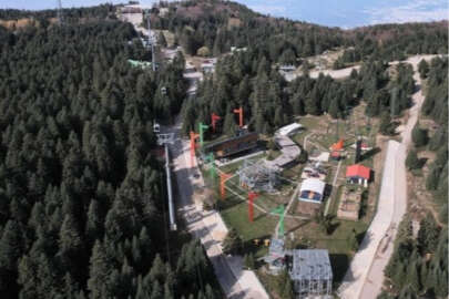 Bursa'da ayıların yardımına esnaf yetişti