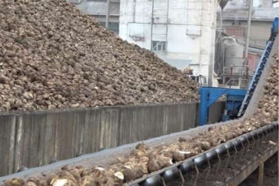 Şeker pancarıyla 2,5 milyar TL'lik katkı