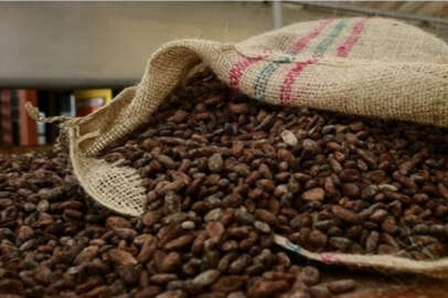 Kakao fiyatları 45 yılın zirvesinde