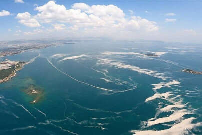 Marmara Denizi'nde tehlike çanları!
