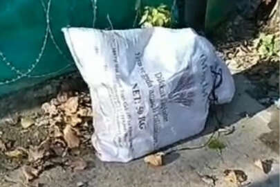 İsyan ettiren olay! Çuvalda yavru köpek çıktı