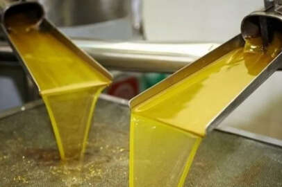 Zeytinyağında “fiyat” uyarısı!