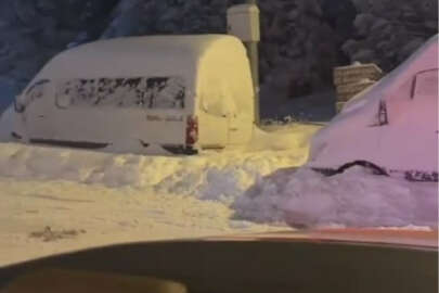 Uludağ'da kış uykusuna yatmakta geç kalan ayılar yemek aramaya çıktı