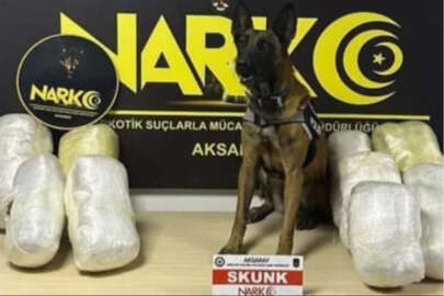 Salatalık kasalarına gizlediler ama 'Bixi'den kaçamadılar