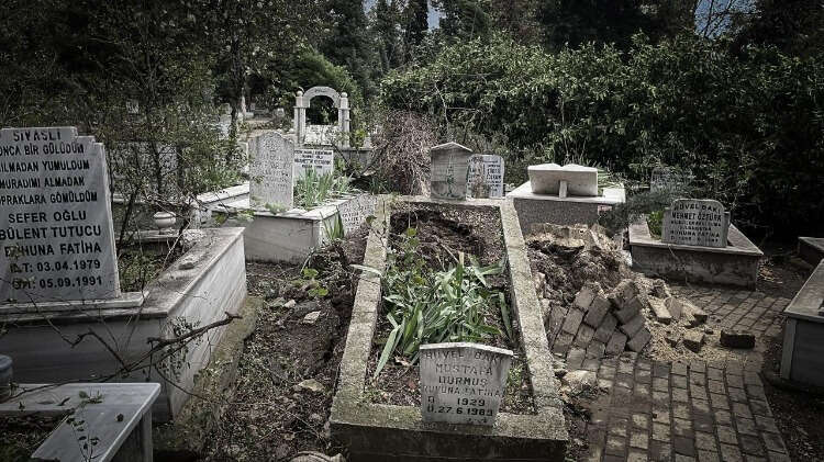 Kentte dün akşam başlayan ve saatteki hızı en yüksek 95,4 kilometre ölçülen lodos, kentte çok sayıda ağacı kökünden söktü, dallarını kırdı.