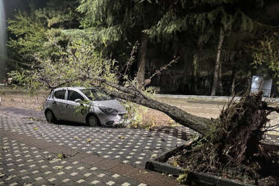 Bursa’da lodos şehri dağıttı!