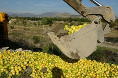 Dere yatağına dökülen tonlarca limon imha edildi