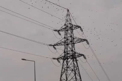 Bursa’da sığırcık kuşlarının görüntüsü hayran bıraktı