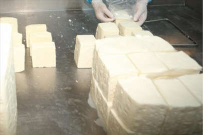 Ezine Peyniri coğrafi işaretle tescillendi!