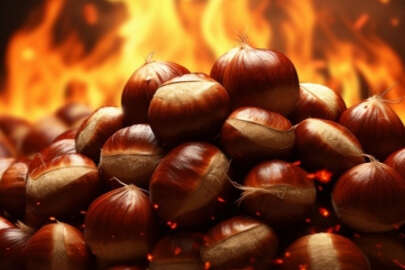 Kestane fiyatları et ile yarışıyor