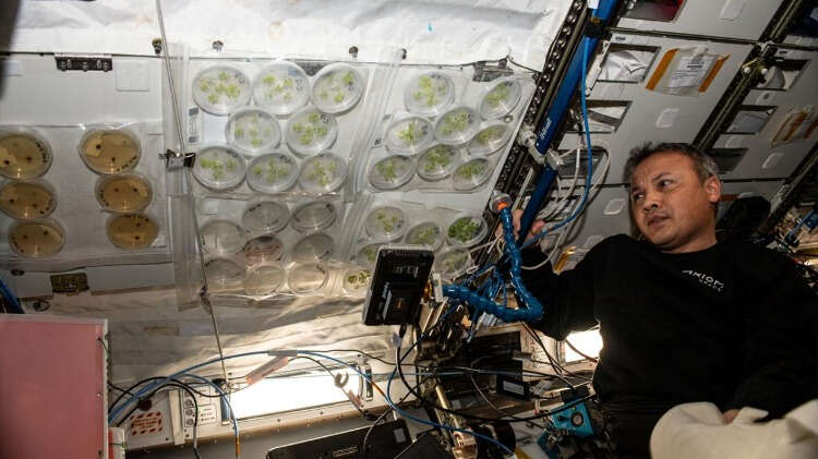 Uzayda TEKNOFEST pozu