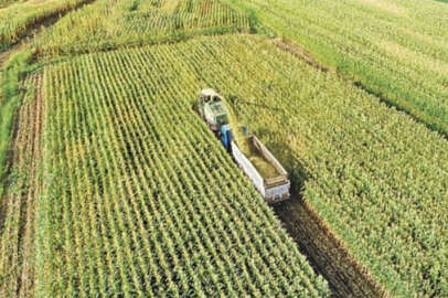 Ayda 3 bin euro maaş: Türkiye'den mevsimlik tarım işçisi alacaklar!