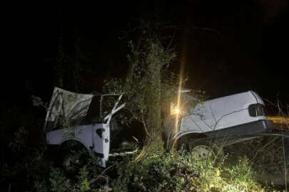 Bursa'da otomobil ağaca çarptı; Sürücü öldü, eşi yaralı